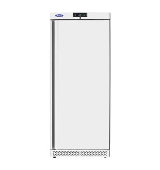 Armoire positive 1 porte pleine 600L
