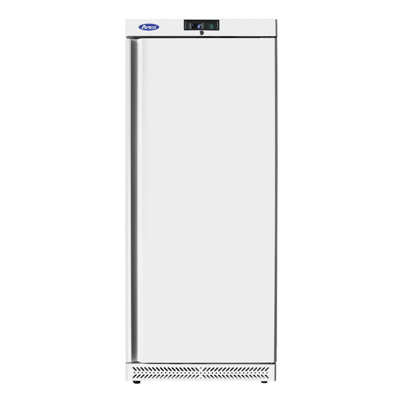 Armoire positive 1 porte pleine 600L