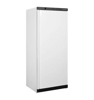 Armoire positive GN2/1 1 porte pleine 570 L