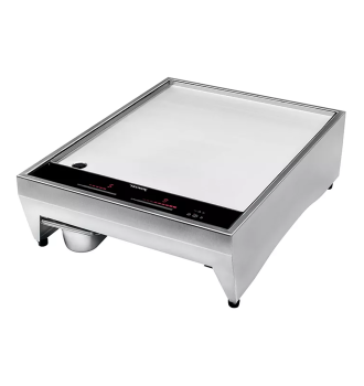 Plancha posable 2 foyers