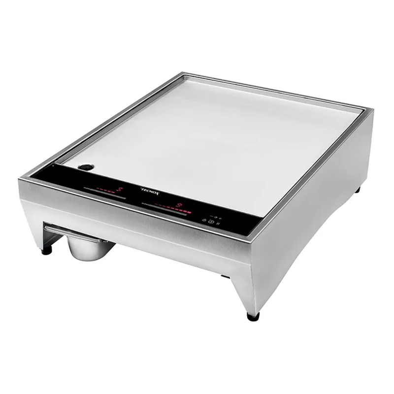 Plancha posable 2 foyers